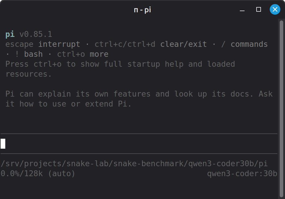 pi terminal user interface at startup